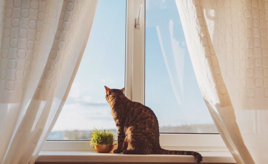 Jakie okna wybrać do domu – PCV, aluminiowe czy drewniane